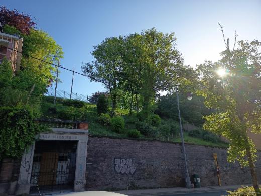 Première photo alternative du bien