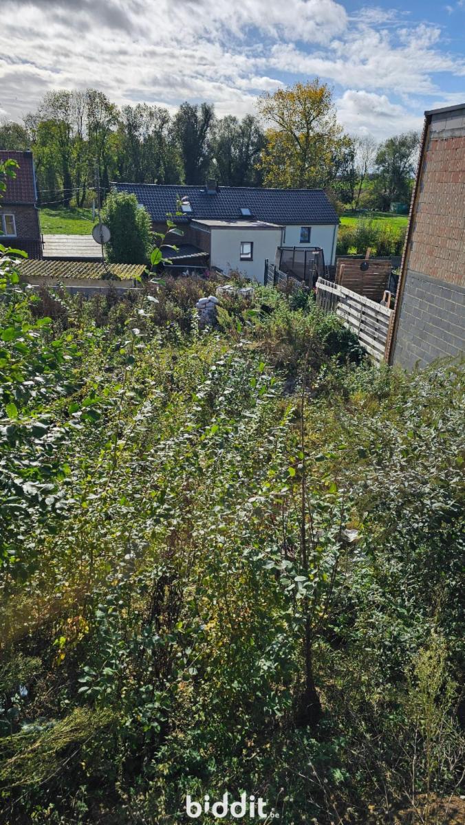 Image de présentation du bien n° 292696