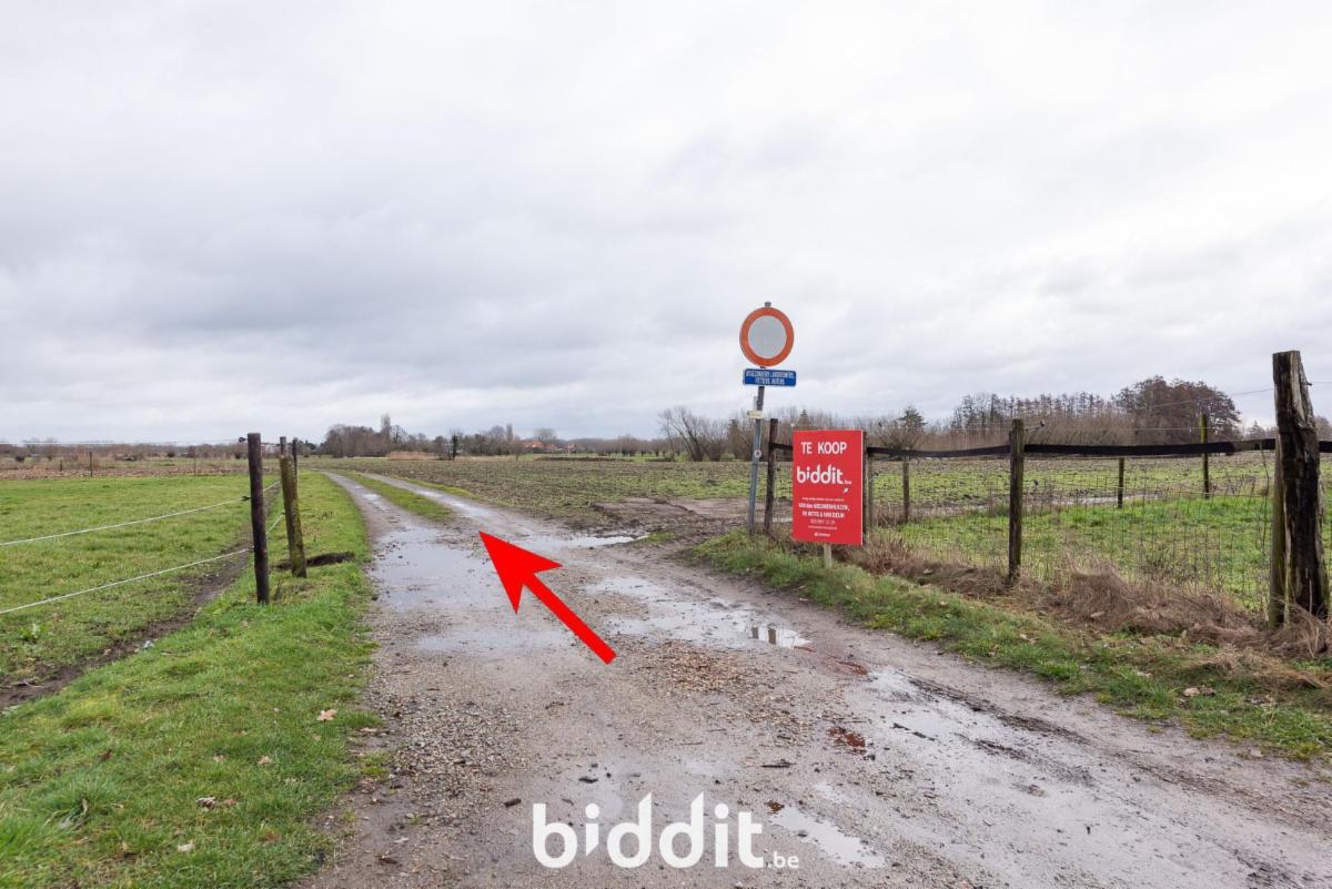 Image de présentation du bien n° 292669