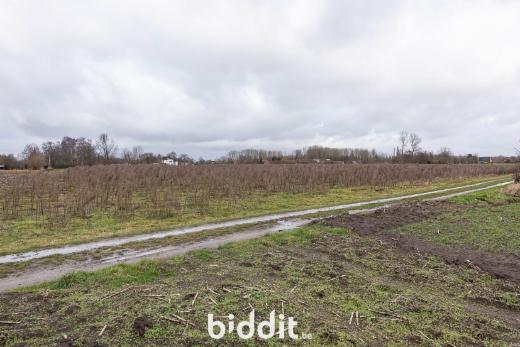 Troisième photo alternative du bien