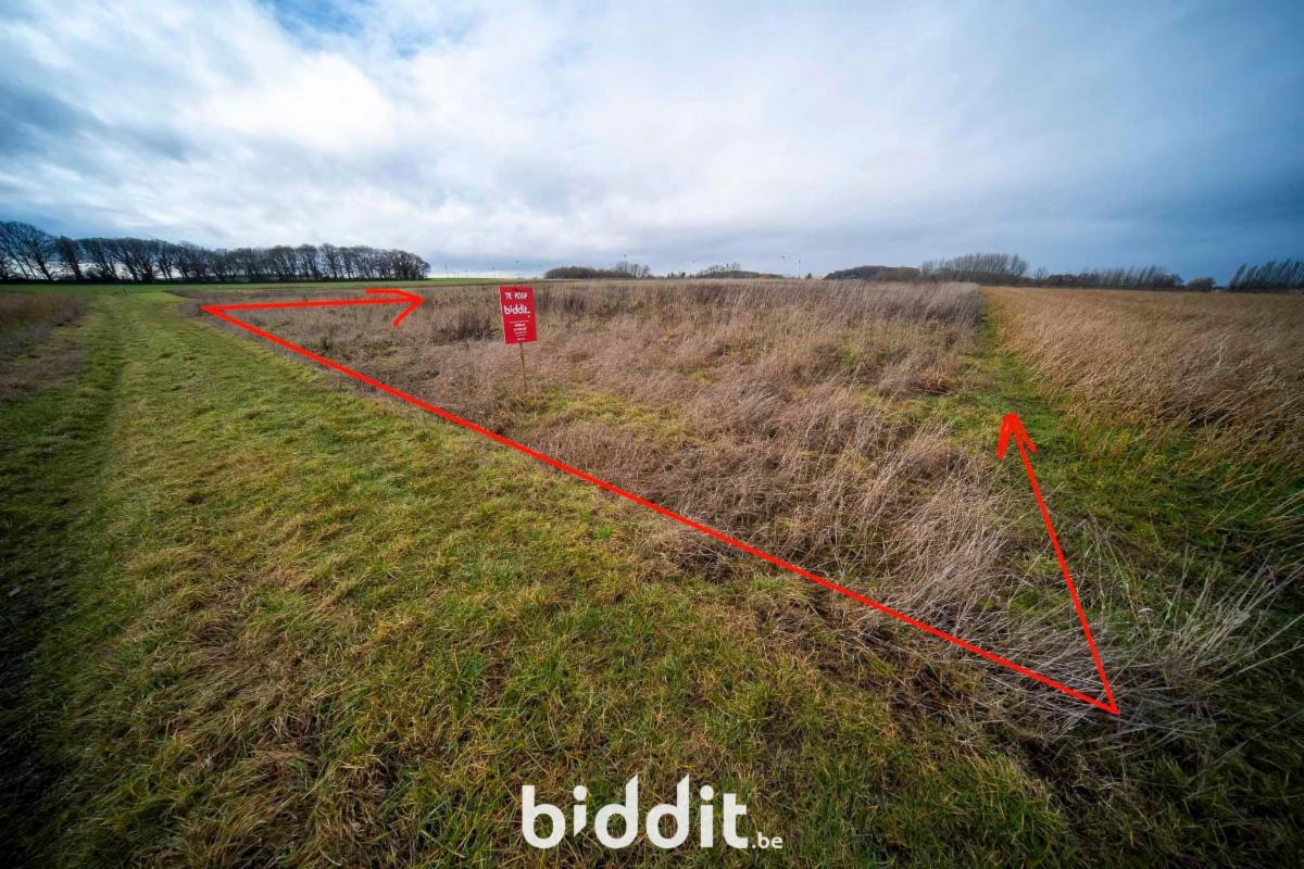 Image de présentation du bien n° 294874