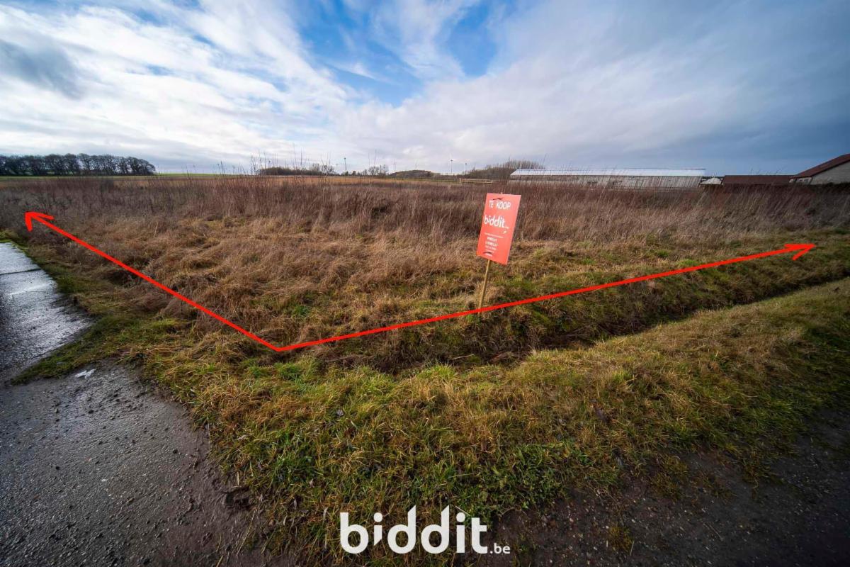 Image de présentation du bien n° 294879