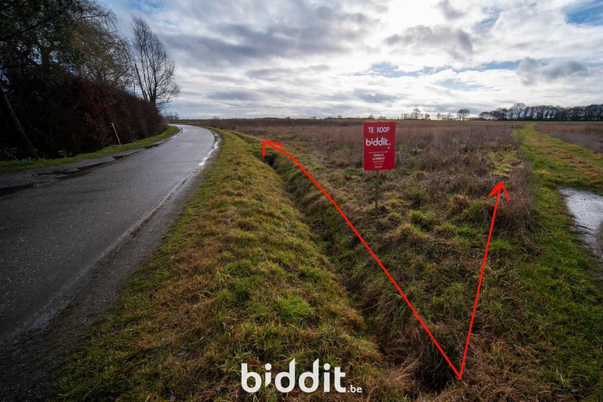 Image de présentation du bien n° 294881