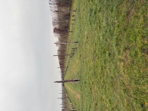 Première photo alternative du bien