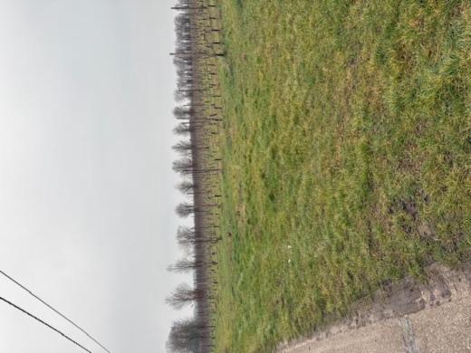 Seconde photo alternative du bien