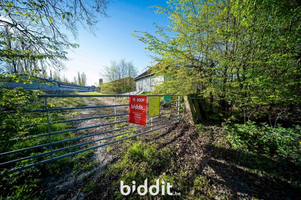 Image de présentation du bien n° 296050