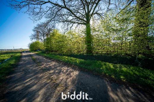 Troisième photo alternative du bien