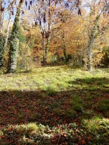 Image de présentation du bien n° 290361