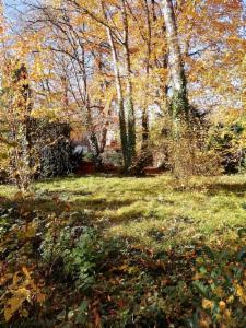 Première photo alternative du bien