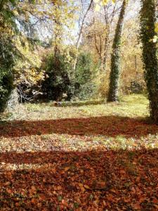 Seconde photo alternative du bien