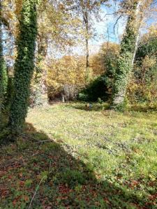 Troisième photo alternative du bien