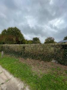 Troisième photo alternative du bien