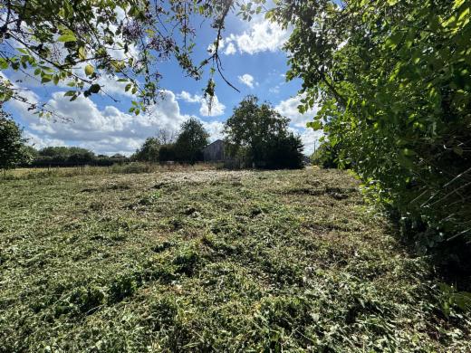 Première photo alternative du bien