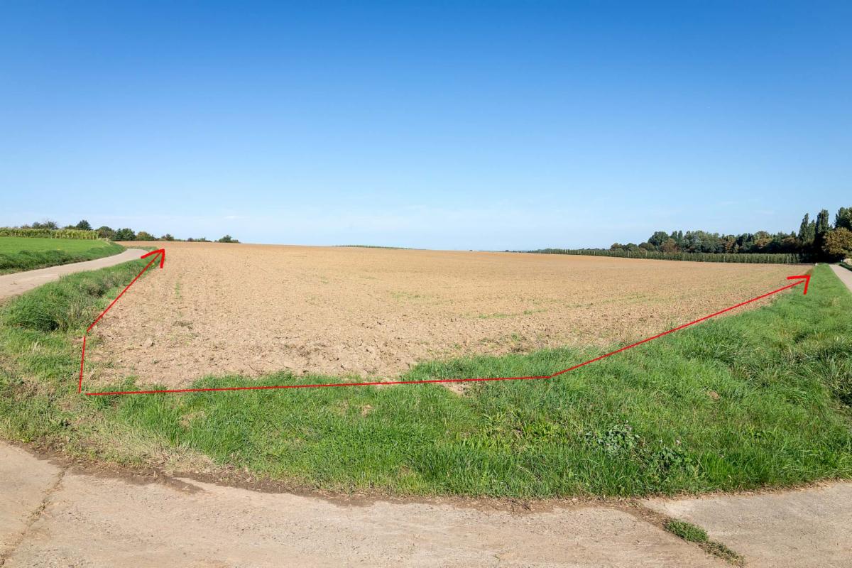 Image de présentation du bien n° 301695
