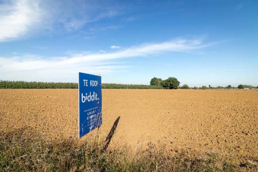 Image de présentation du bien n° 302743