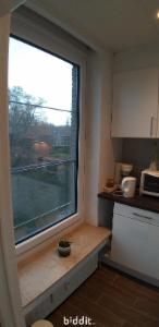 Seconde photo alternative du bien