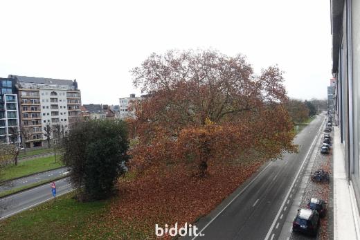 Image de présentation du bien n° 290266