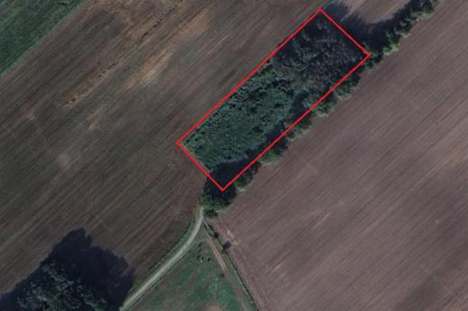 Image de présentation du bien n° 302401
