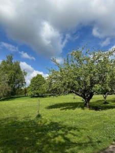 Image de présentation du bien n° 290245