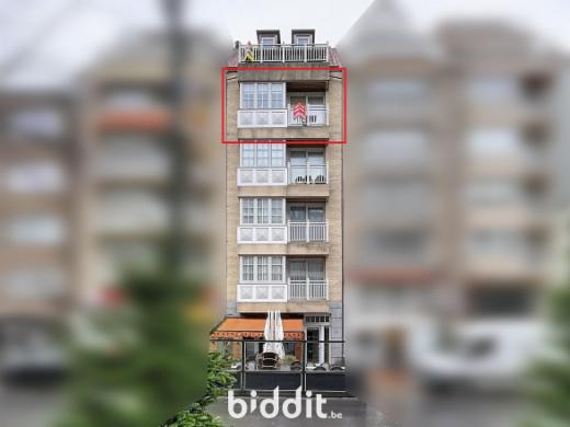 Image de présentation du bien n° 291972