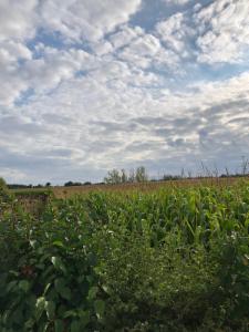 Première photo alternative du bien