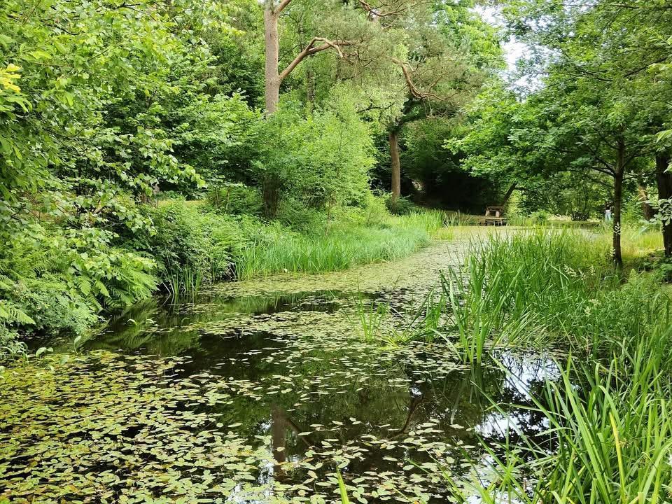 Image de présentation du bien n° 292003