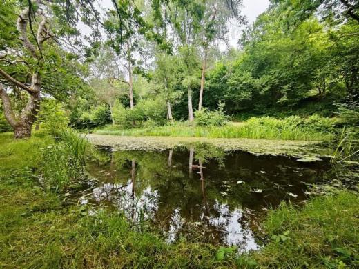Première photo alternative du bien
