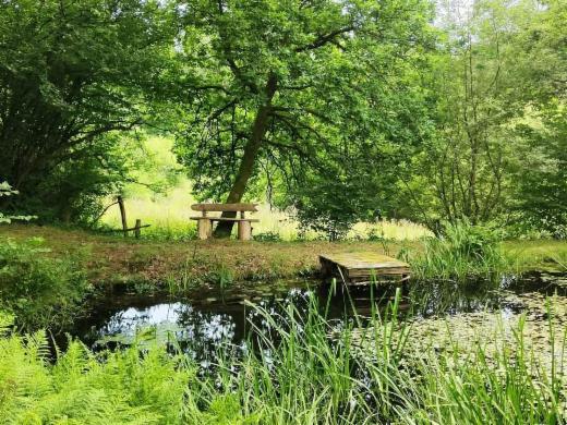 Troisième photo alternative du bien