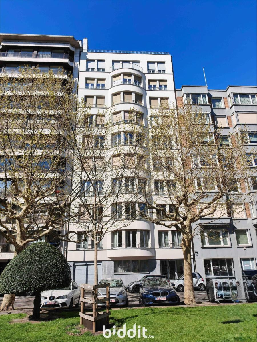 Image de présentation du bien n° 296849