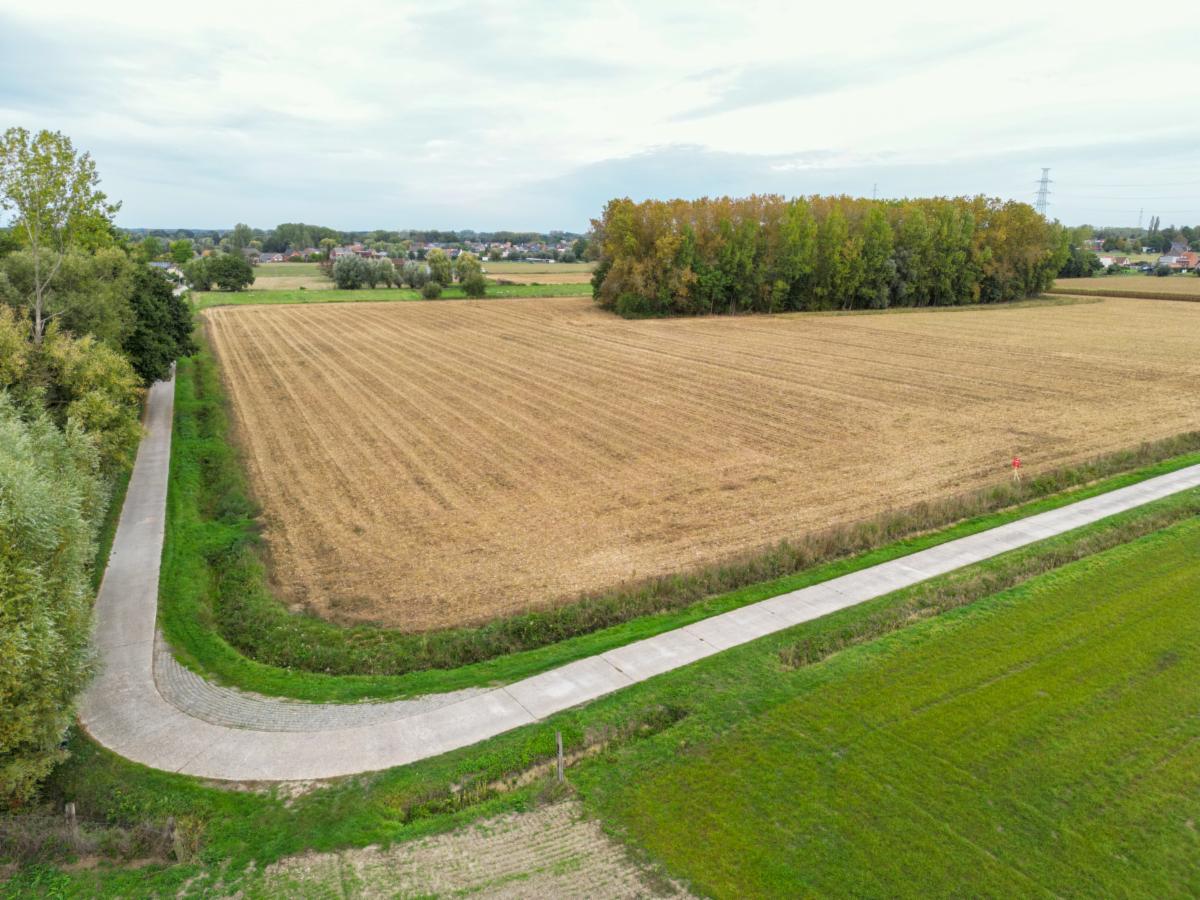 Image de présentation du bien n° 302726