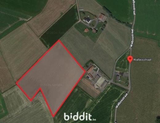 Image de présentation du bien n° 298565