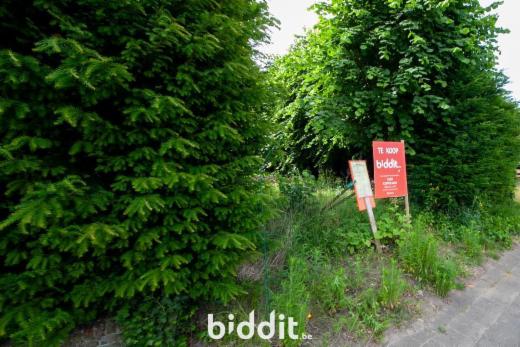 Première photo alternative du bien