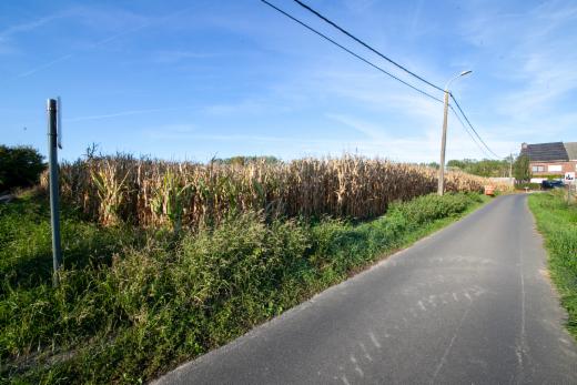 Image de présentation du bien n° 303120