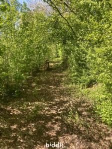 Image de présentation du bien n° 285470