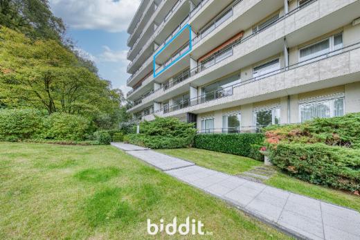 Image de présentation du bien n° 286955