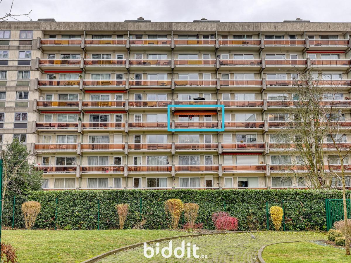 Image de présentation du bien n° 290698