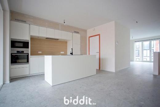 Première photo alternative du bien
