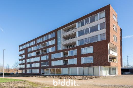 Troisième photo alternative du bien