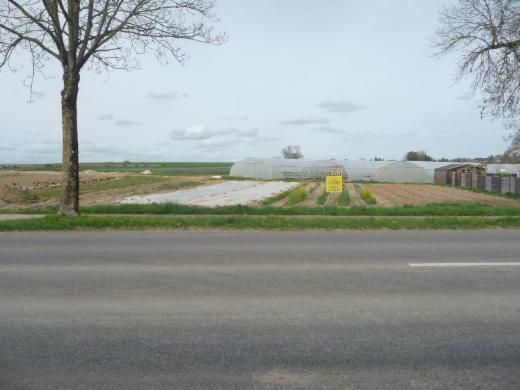 Image de présentation du bien n° 295264