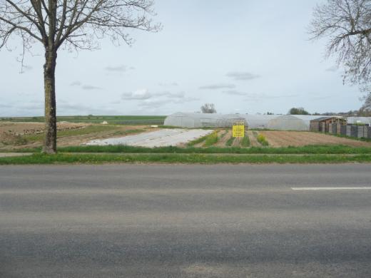 Image de présentation du bien n° 302849
