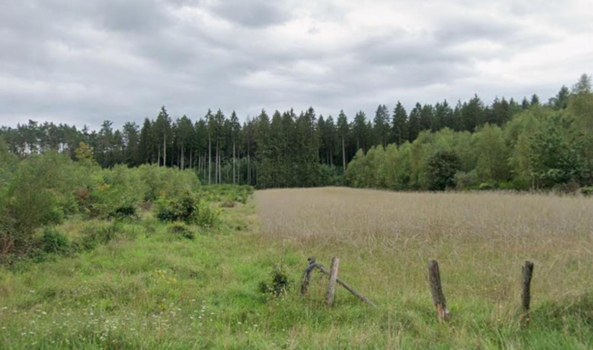 Image de présentation du bien n° 293480