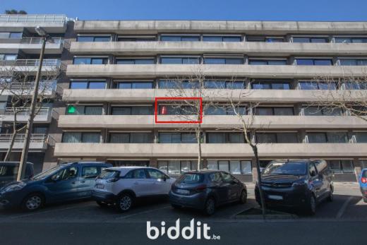 Image de présentation du bien n° 282538