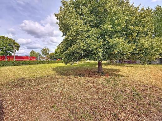 Troisième photo alternative du bien