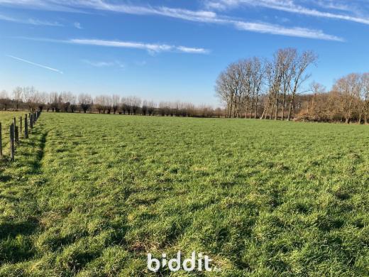Première photo alternative du bien