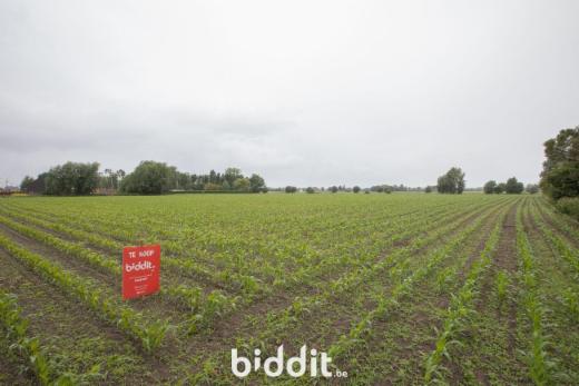 Image de présentation du bien n° 297797