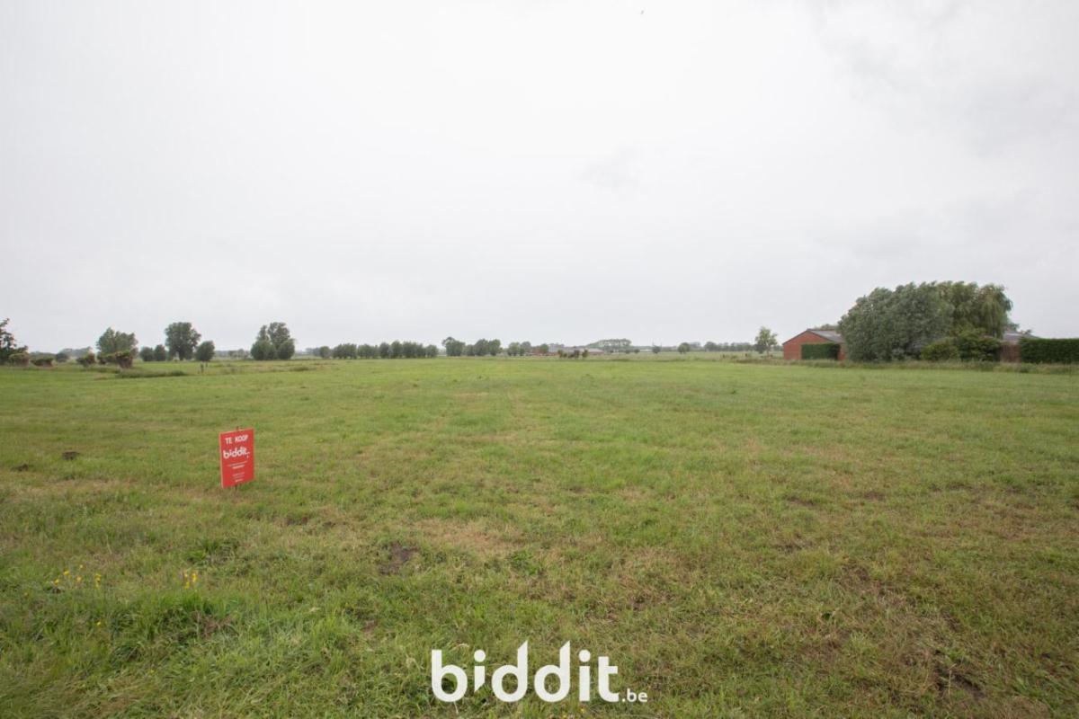 Image de présentation du bien n° 297798