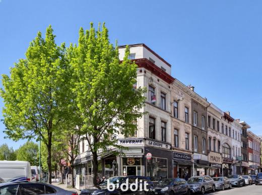 Image de présentation du bien n° 295258