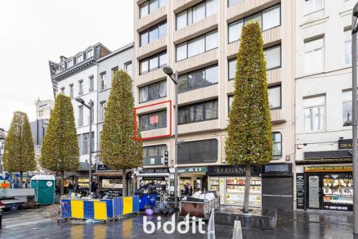 Image de présentation du bien n° 289687