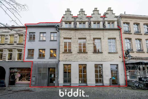 Image de présentation du bien n° 295342