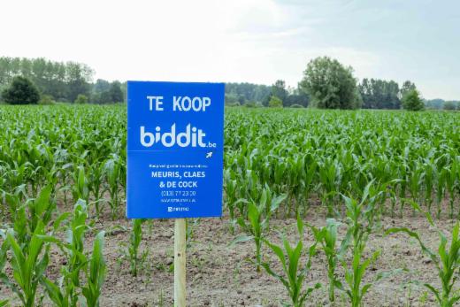 Image de présentation du bien n° 284374